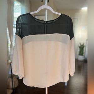 ANN TAYLOR - Sheer Blouse Ivory & Black - Size Small